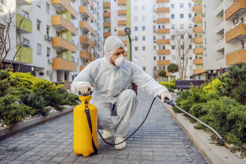 Solutiata3D - Deratizare-bucuresti.ro